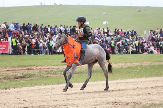 Child jockey racing a grey horse at the Naadam horse races near Ulaanbaatar